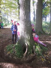 Zwergenhäuser Zwergenhäuser